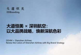 大道恒美 × 深圳航空：以大品牌战略，焕新深航色彩
