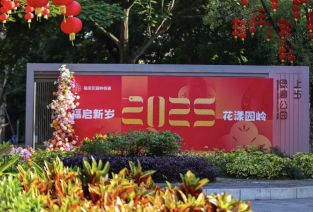 大道恒美 × 园岭街道：用场景美学重构城市品牌的“情绪价值”